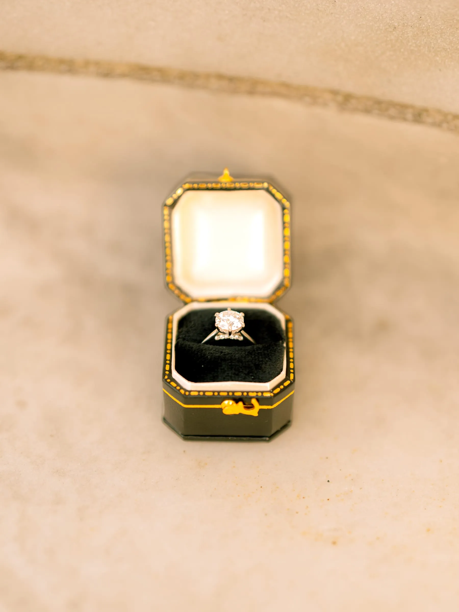 Maryann's engagement ring displayed in its open ring box on the Lincoln Memorial's marble steps